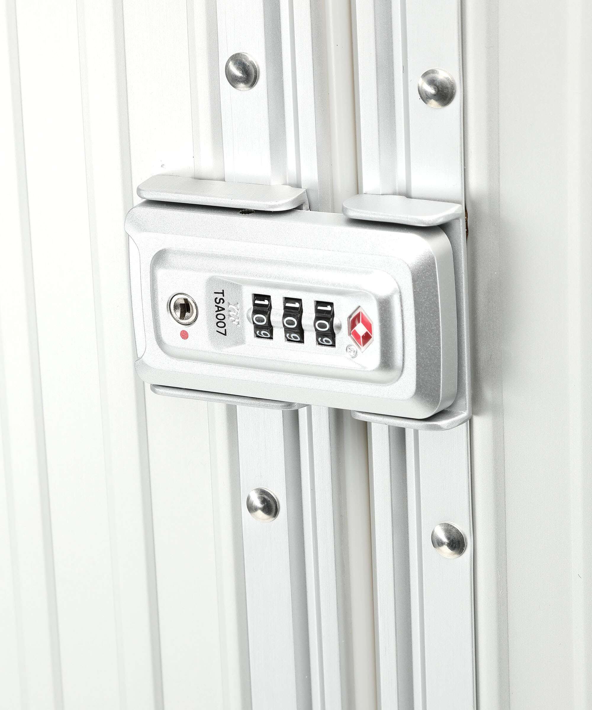 Aleon 30 International Spinner (4 wheels) platinum