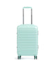 Delsey Paris Bastille 2.0 Maleta con 4 ruedas minze