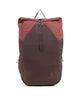 Deuter Xberg 25 Cycling backpack raisin/caspia