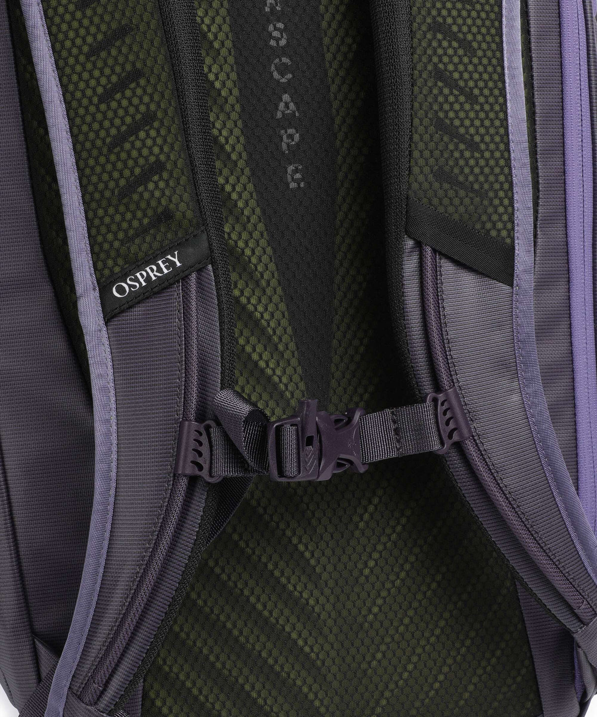 Osprey Transporter Rolltop backpack euphoria purple/purple ink