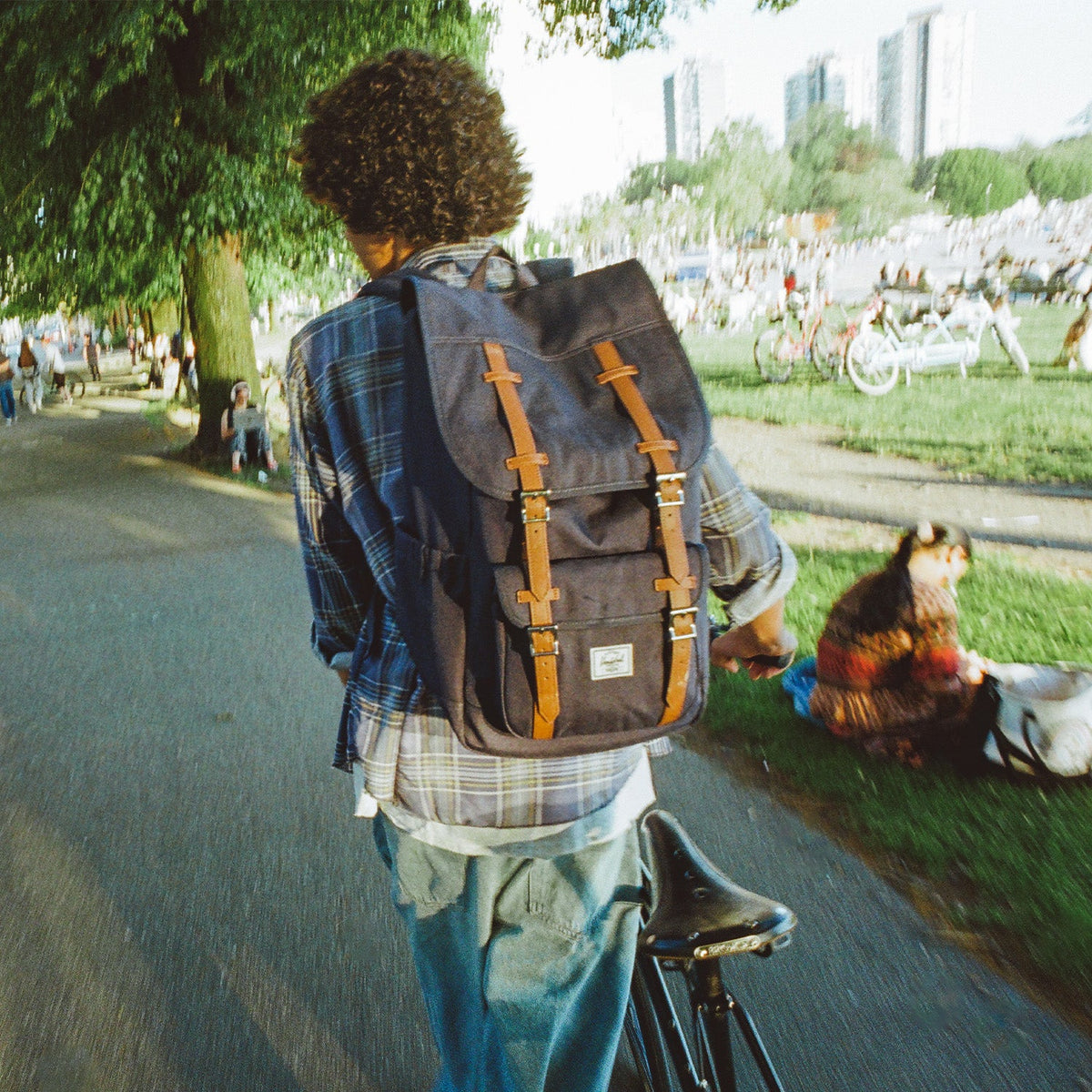 Herschel