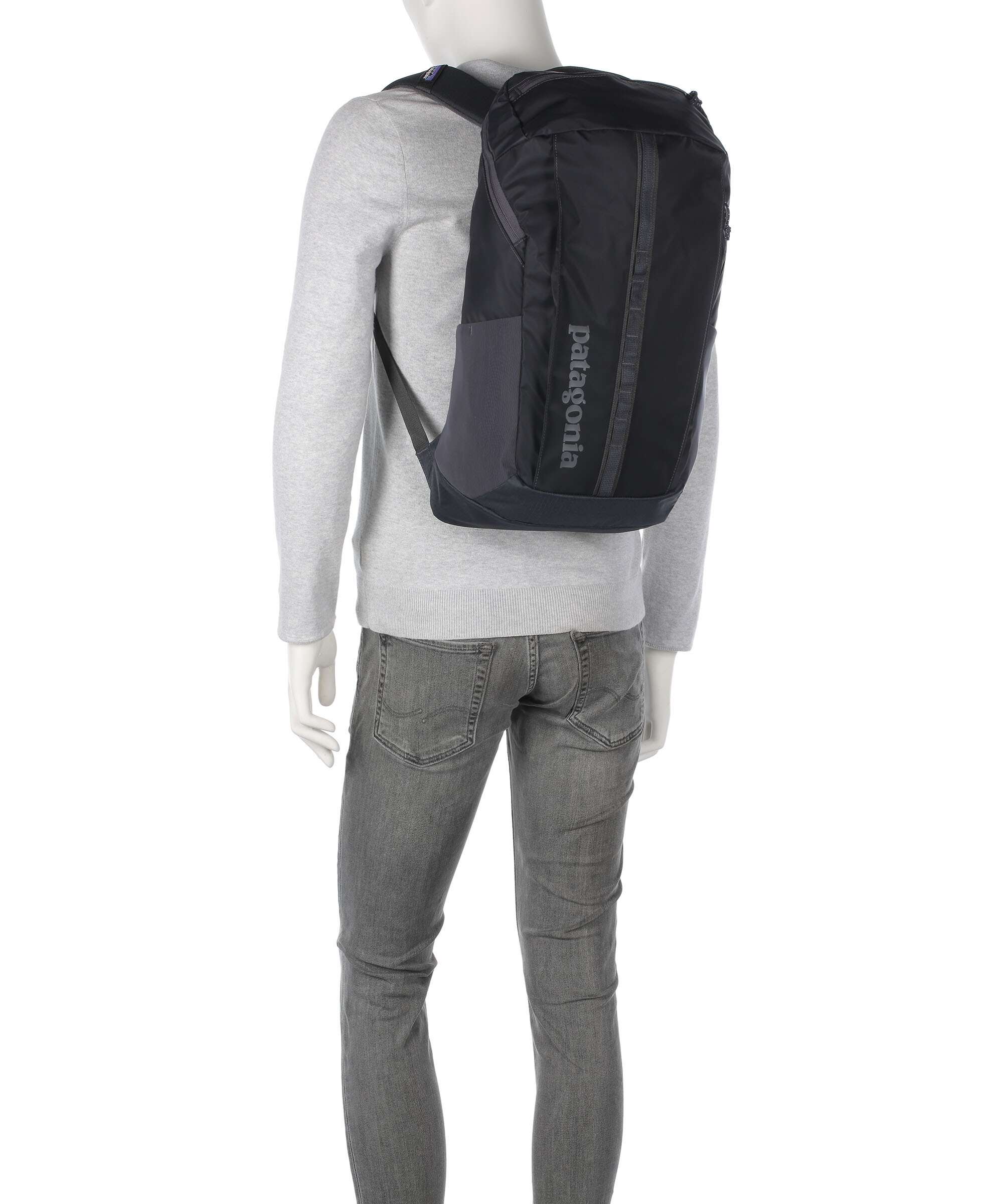 Patagonia Black Hole 25 Backpack sastrugi/summit blue