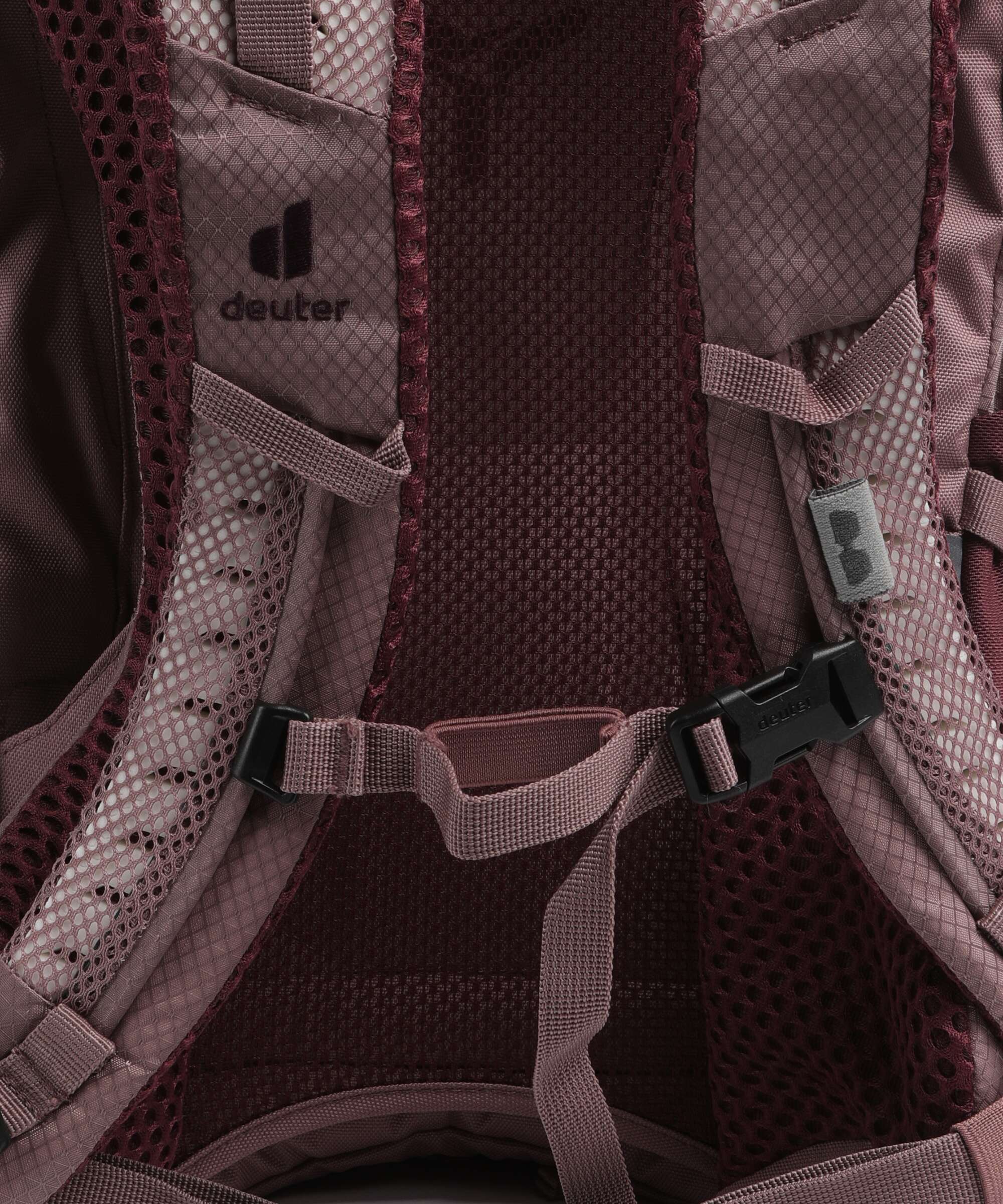 Deuter Futura 21 SL Hiking backpack cassis ashrose