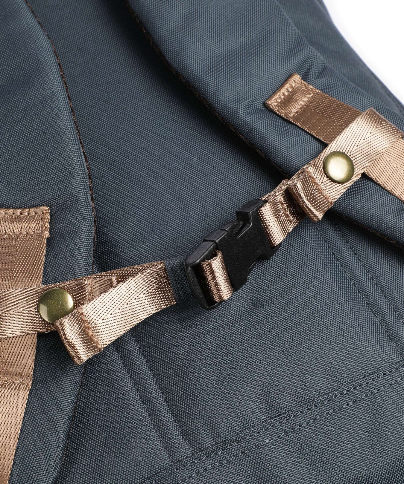 Doughnut Reborn Christopher Rolltop backpack lake