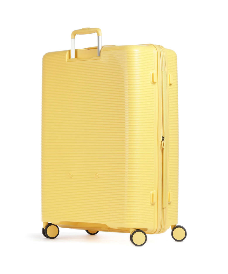 Echolac Forza L Spinner (4 wheels) yellow