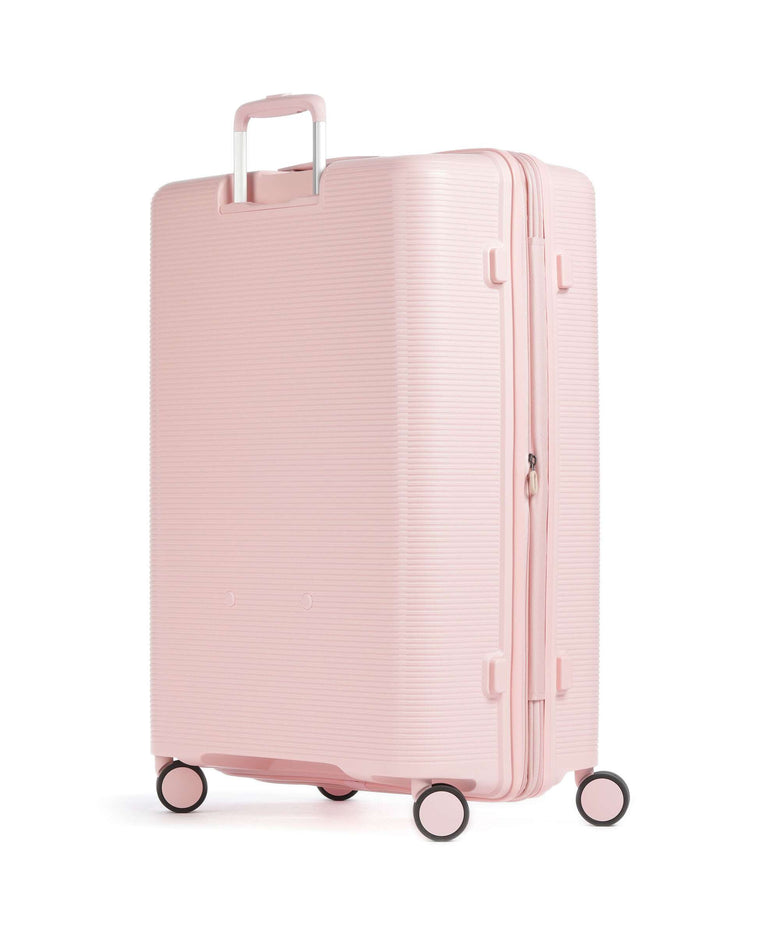 Echolac Forza L Spinner (4 wheels) pink