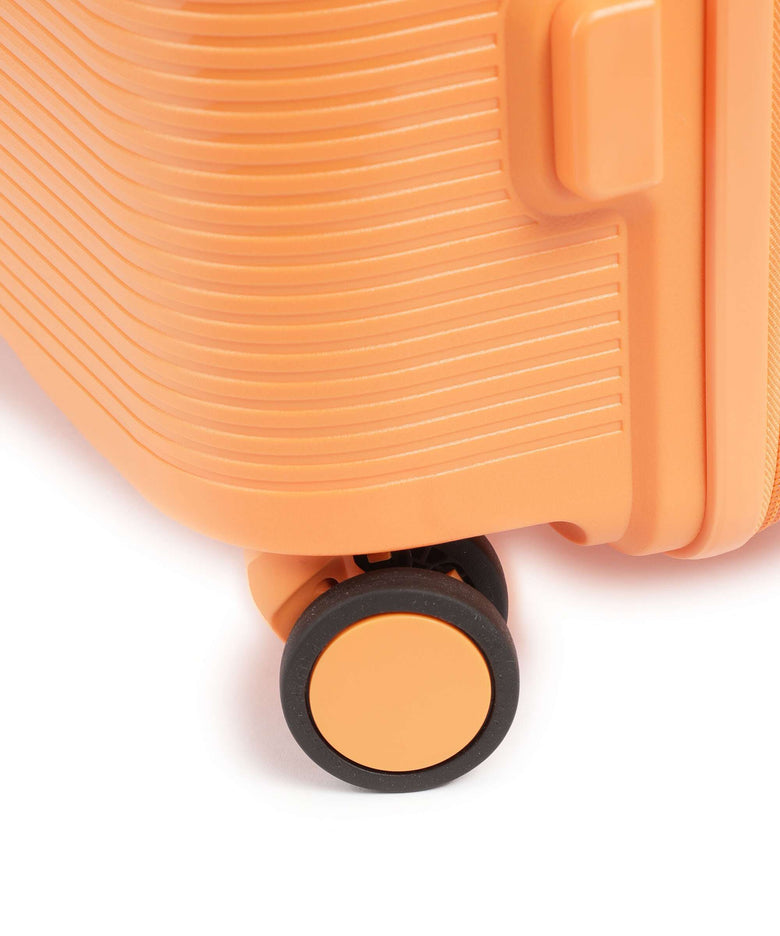 Echolac Forza M Spinner (4 wheels) apricot crush