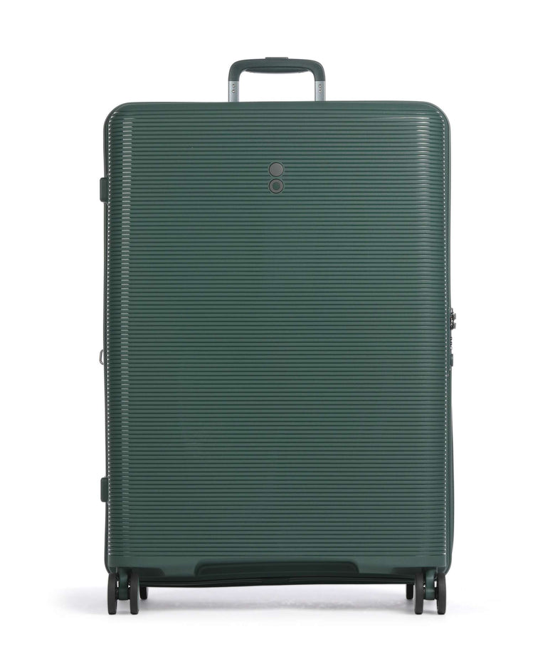 Echolac Forza L Spinner (4 wheels) pine green