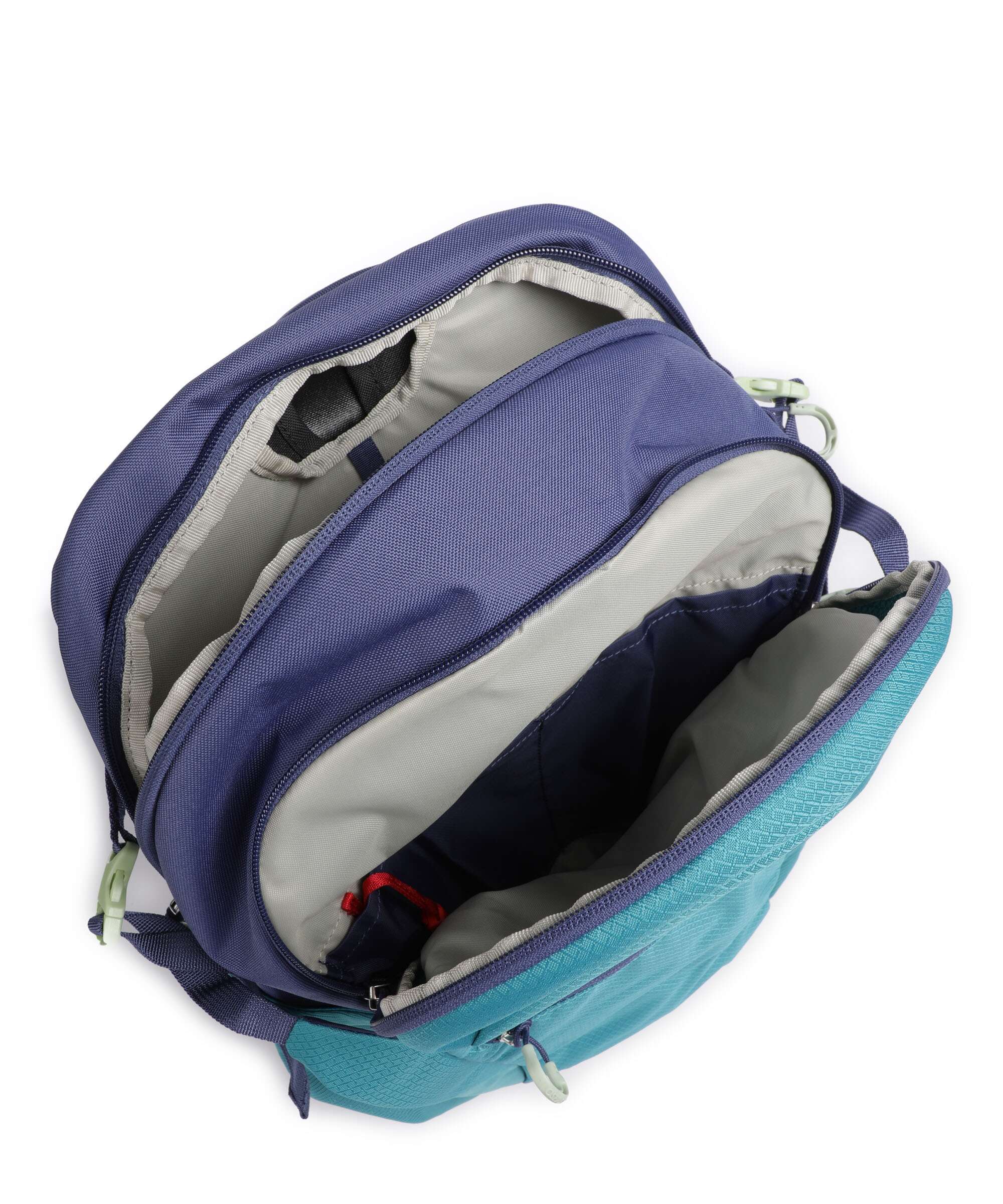 Osprey Daylite Plus Backpack blue spikemoss/alkaline